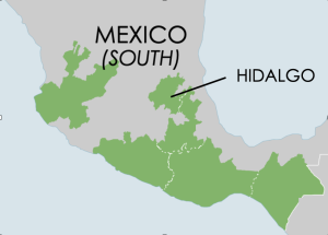 Mexico Map (Hidalgo)