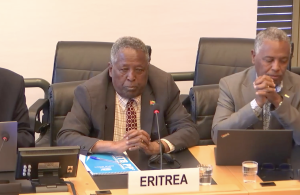 Eritrean delegation at UN (Jan 25)